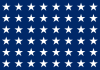 アメリカ海軍旗