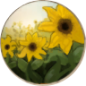 安らぎの花畑