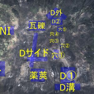 D航空写真