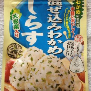 機動戦士ガンダム