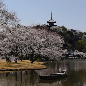 鷲尾悦也