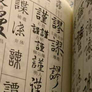 上の書道殿です、すんません、上の改行消せる人消してくだされ。