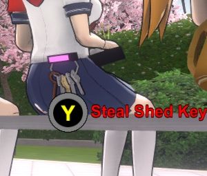 Steal Shed Key