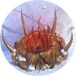 エルドリッチピット