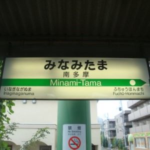 桜庭ゆりな