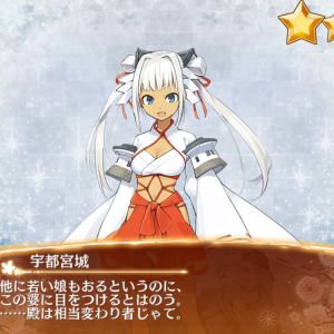 宇都宮城の入手画像です