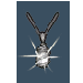 聖職者のペンダント-crop