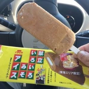 砂糖にこれ食べさせようぜ！甘くてうまいぞ多分