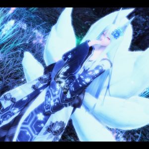 幻想の森にて