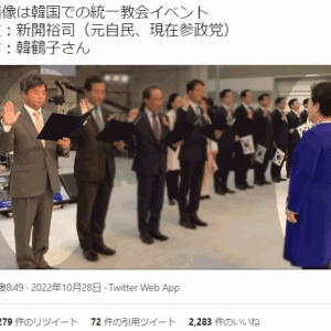 参政党も仲間に入れてあげてよ。地方議会で同一会派しまくってるし、そもそも神谷と新開は元自民党じゃん。