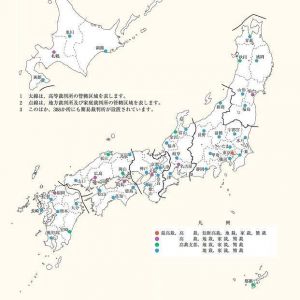 裁判所の配置