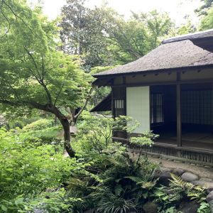 カップヘッド