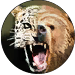 Were_Bear