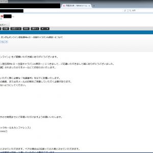 東京イベいったけどチケットなんてなかったよ。あるのは当選メールを紙媒体で印刷していく事くらい。