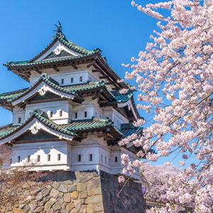 ディスティニー