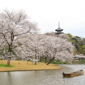鷲尾悦也