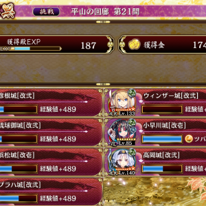限定なし。プラハはマジックナイトを攻撃してしまわないように2に置いた。琉球はデコイとして使っただけなので堅ければ何でもいい。ウィンザーも9で足止めしつつバフかけられるから枠を減らせるが余裕があるので別のキャラでもいい