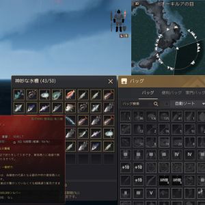 オーキルアの目 (2025/9/17)旧桟橋 &color(Red){カラスザメ};確認しました