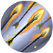 Volley_of_Flaming_Arrows