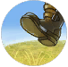 Plains_Walking