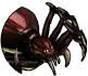 ヴァンパイアスパイダークイーン
