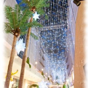 イルミネーション（飾り）