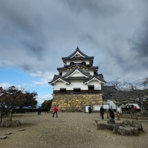 ディスティニー