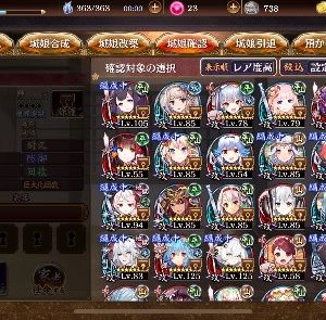 ご意見ありがとうございます。大阪まだなんですね(//∇//)槍載せてないけど彦根います。たまに活躍してます。千狐珠温存しときます。