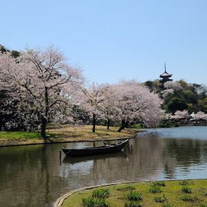 ディスティニー