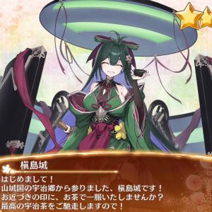 槇島城_入手