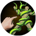 Entangling_Touch