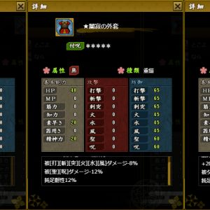 皓月の狩人装備
