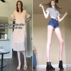 機動戦士ガンダム