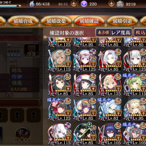 手持ち (2)