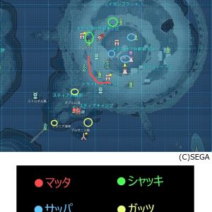 マップ スティア 野菜