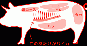 (；´・ω・｀)（なんか熱い視線を感じる）　　←(・ω・｀)