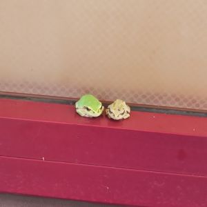 明日は終戦の日だな。bfも終戦しようや。
