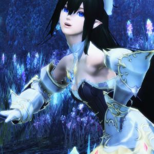 幻惑の森、今週で終わっちゃうのかぁ…　久しぶりにペタリ