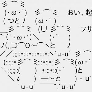 つまり今度からハゲとふさで争うわけね？