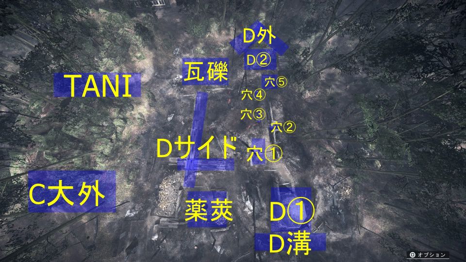 D航空写真