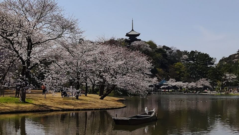 鷲尾悦也