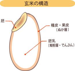 そしてここで理科の授業だおまえら。