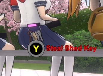 Steal Shed Key