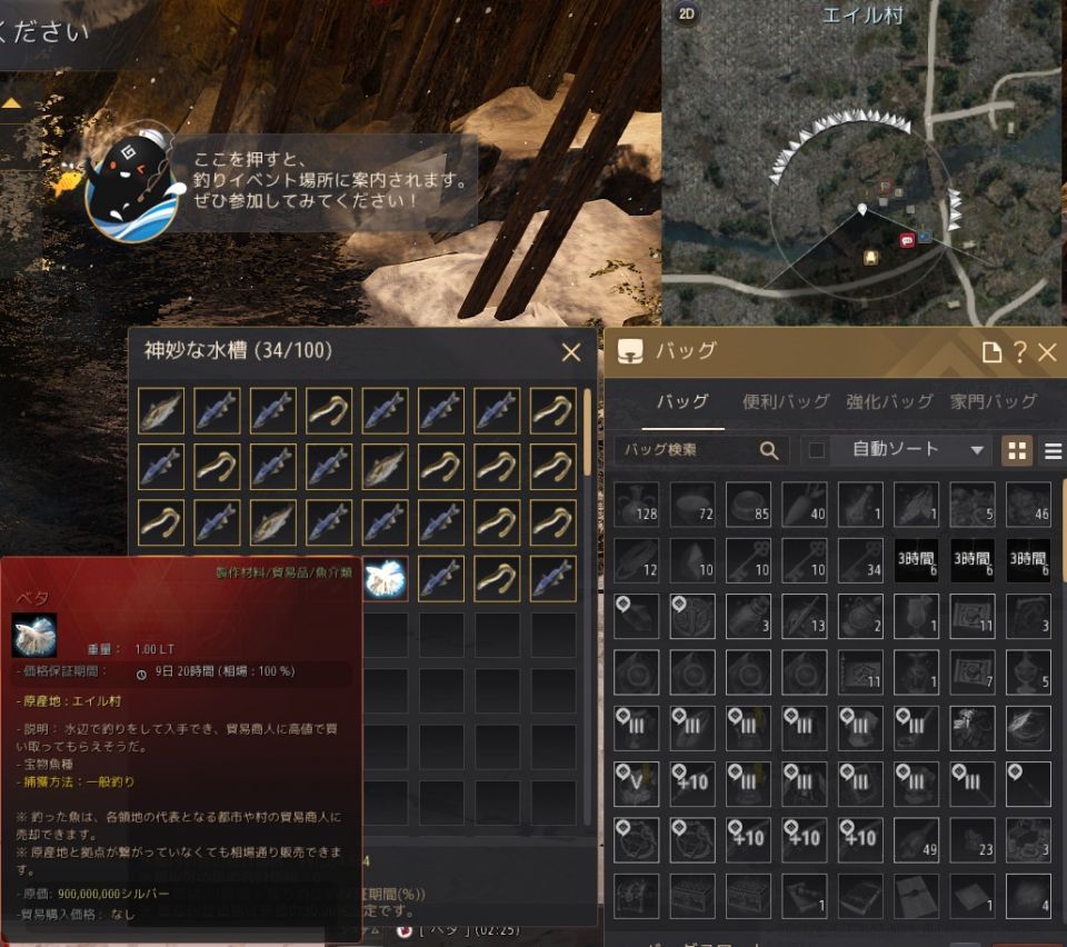 エイル村　&color(Red){ベタ};を確認