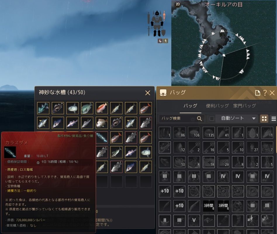 オーキルアの目 (2025/9/17)旧桟橋 &color(Red){カラスザメ};確認しました