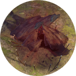 モンスターの巣