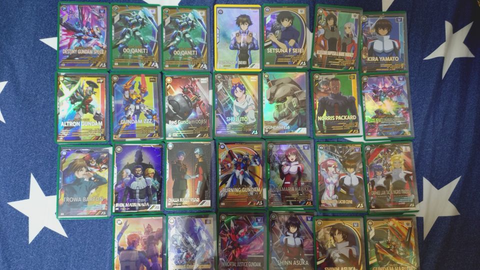 あとこれが、そのほか持ってるカード