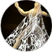 Cobwebbed