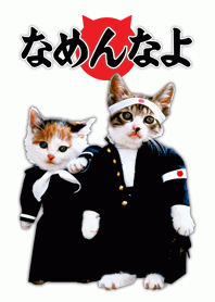 ＞猫と不良かな？