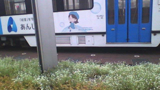 あんしん財団の電車撮ったので載せとく。